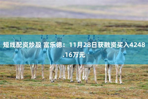 短线配资炒股 富乐德：11月28日获融资买入4248.16万元