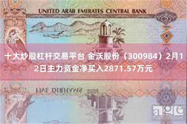 十大炒股杠杆交易平台 金沃股份（300984）2月12日主力资金净买入2871.57万元