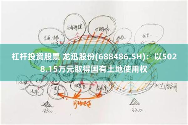 杠杆投资股票 龙迅股份(688486.SH)：以5028.15万元取得国有土地使用权