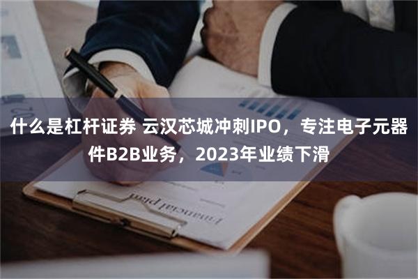 什么是杠杆证券 云汉芯城冲刺IPO，专注电子元器件B2B业务，2023年业绩下滑