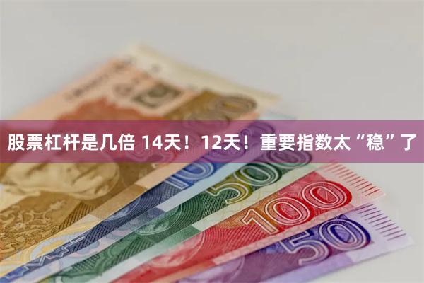 股票杠杆是几倍 14天！12天！重要指数太“稳”了