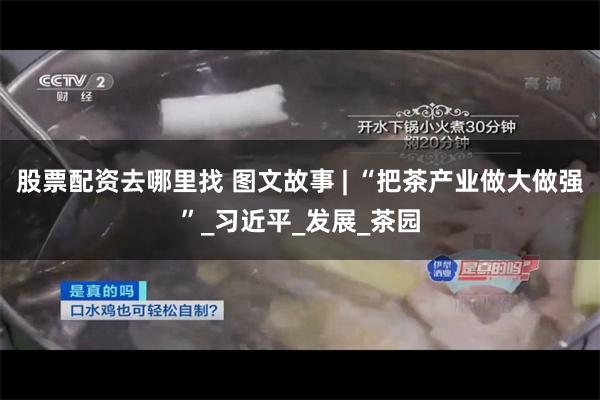 股票配资去哪里找 图文故事 | “把茶产业做大做强”_习近平_发展_茶园