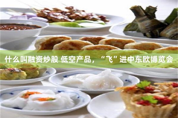 什么叫融资炒股 低空产品，“飞”进中东欧博览会