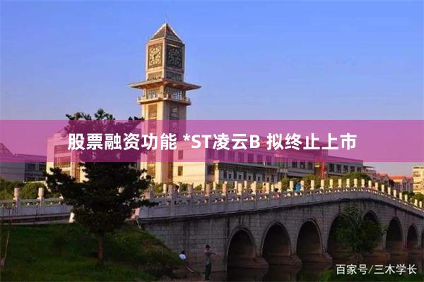股票融资功能 *ST凌云B 拟终止上市