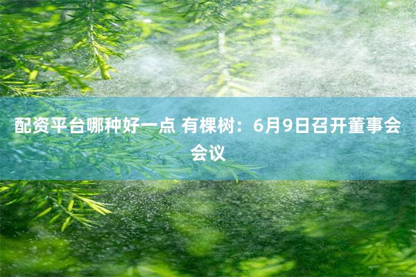 配资平台哪种好一点 有棵树：6月9日召开董事会会议